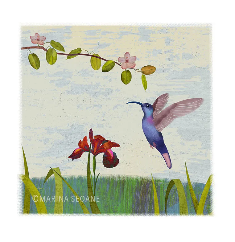 A-COLIBRÍ
